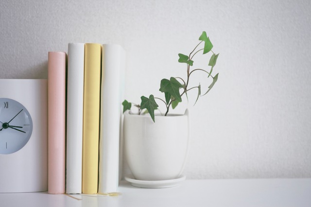 小さい木の本棚を選ぶ時に押さえたい3つのポイント